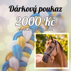 Dárkový poukaz AIVA v hodnotě 2000 Kč