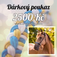 Dárkový poukaz AIVA v hodnotě 2500 Kč