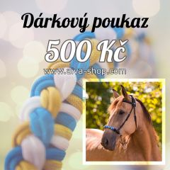 Dárkový poukaz AIVA v hodnotě 500 Kč