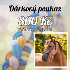 Dárkový poukaz AIVA v hodnotě 800 Kč