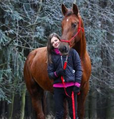Klasické nylonové vodítko pro koně na míru