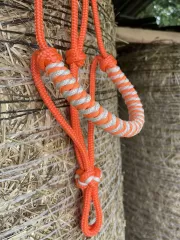Cob • Ohlávka Monrae • oranžová