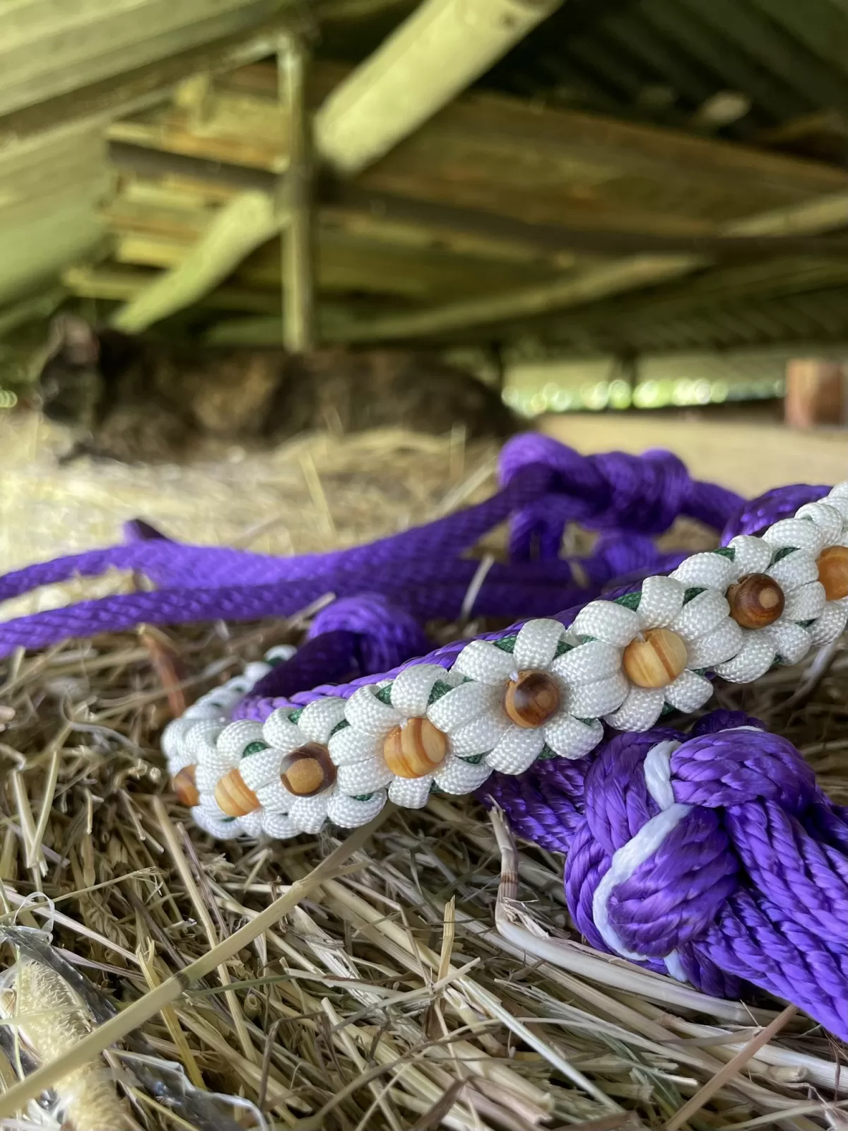 Cob • Ohlávka Wayta • fialová AIVA