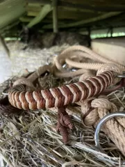 Pony+ • Jezdecká Maya • s lícnicemi • béžová AIVA