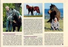 O firmě AIVA Koně a hříbata 04/2014