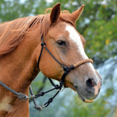 Provazová hackamore ohlávka (různé oplety)