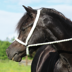Vodící / předváděcí splétaná ohlávka pro welsh plemena (pony / cob)
