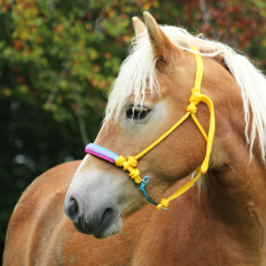 AIVA Tréninková ohlávka AMBRA (paracord)