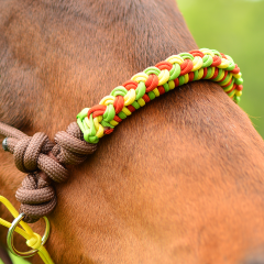 AIVA Tréninková ohlávka FREY (paracord)