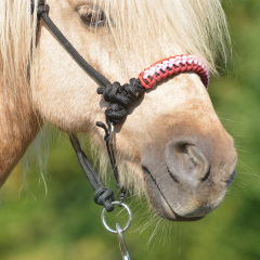 AIVA Tréninková ohlávka SIOUX (paracord)