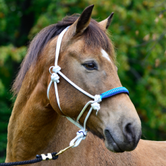 Křížová bezudidlová uzdečka AMBRA (paracord)