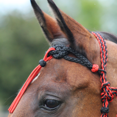 Ozdobná arabská výstavní čelenka se střapcem (paracord)