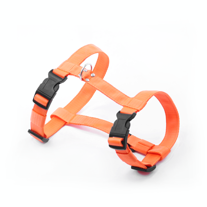 Postroj pro psa CLASSICO 24 mm AIVA