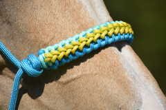 Vodící ohlávka s opletem SIOUX (paracord) AIVA