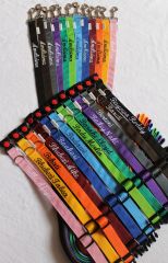 Klasické nylonové vodítko 24mm pro psa AIVA
