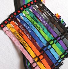 Klasický nylonový obojek na míru - šíře 24 mm AIVA